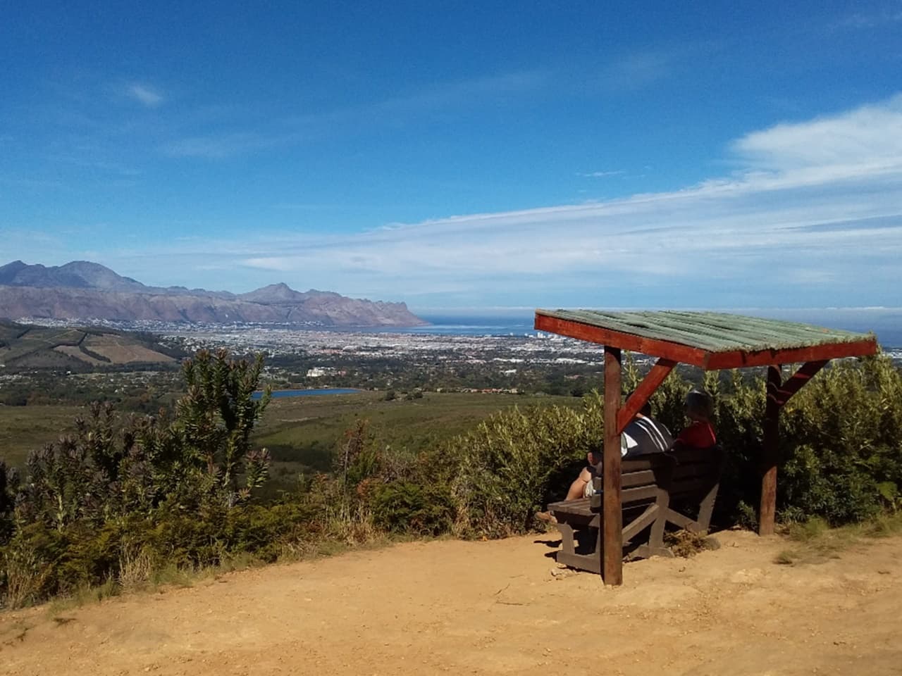 Birds are flying high